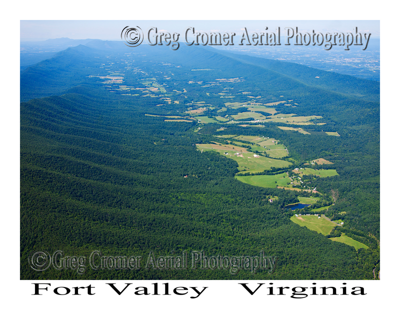 Illustration for article titled S2000 on Fort Valley Road: A Combined Review